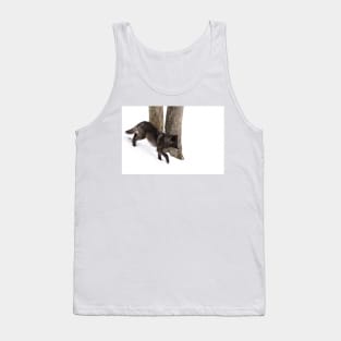 Black Wolf in winter Tank Top